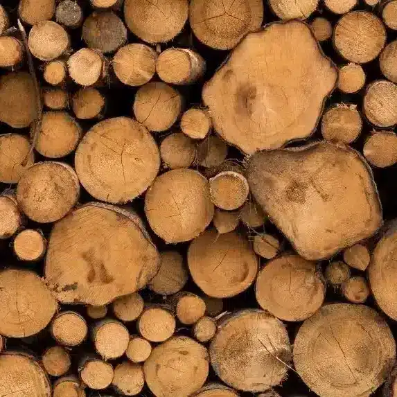 D'où provient notre bois ? Origine, qualité et durabilité 2